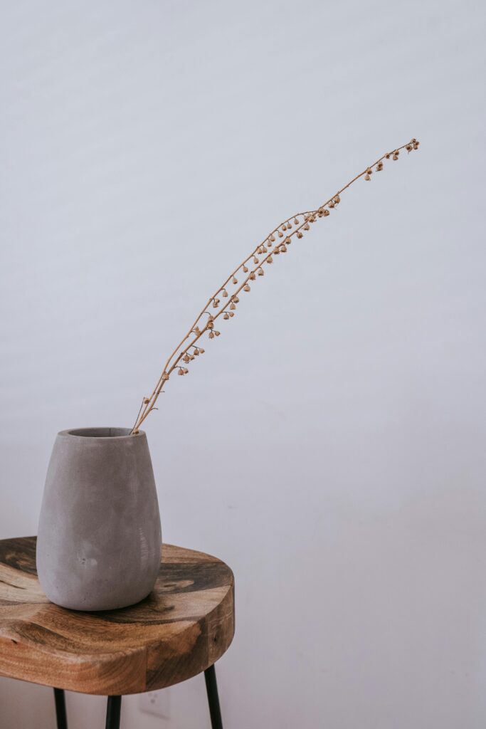 pexels-pnw-prod-8251552 dry plant in vase. Image representing my approach of ACT.