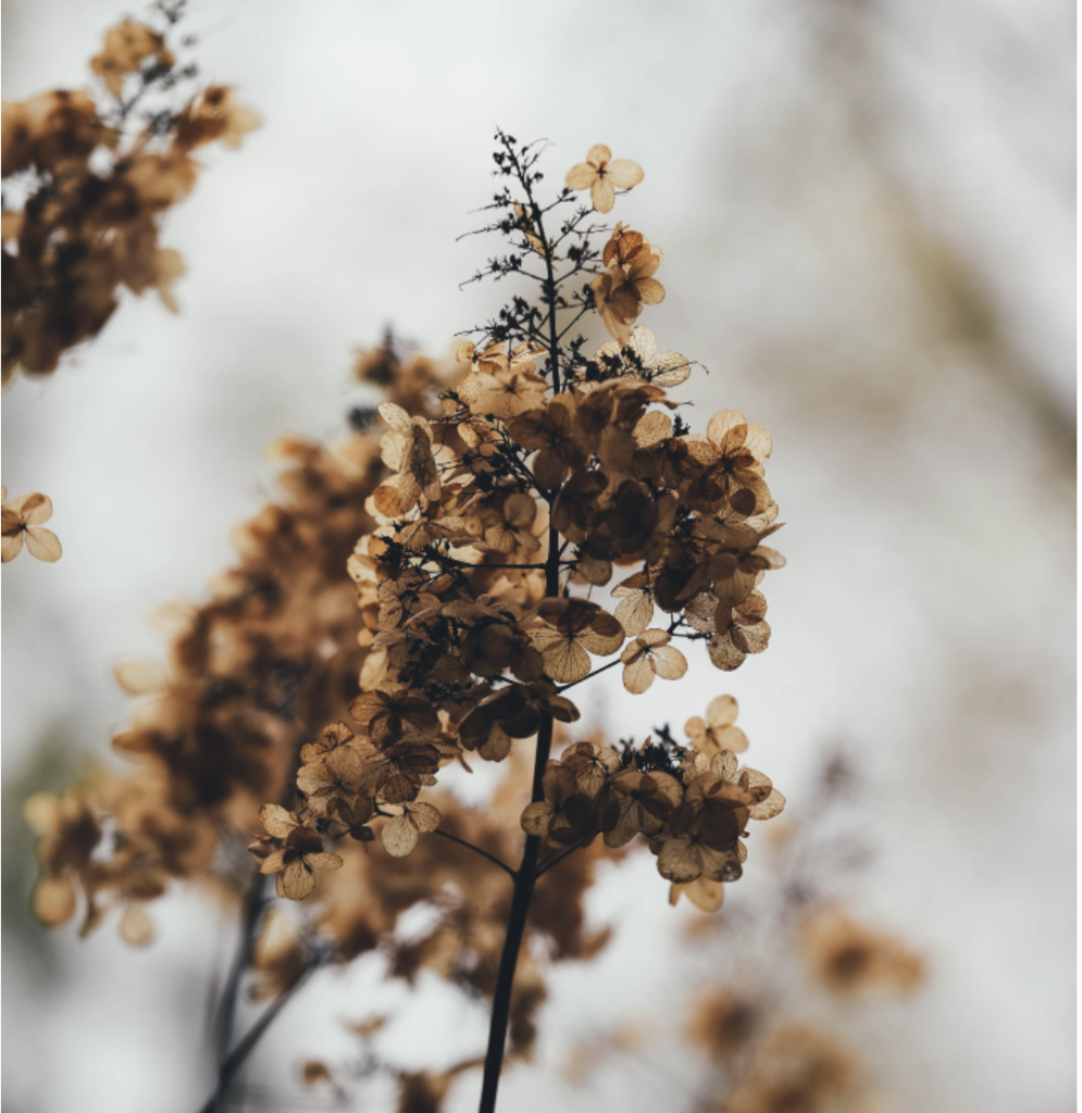 Captura de Tela 2025-12-03 às 15.11.40